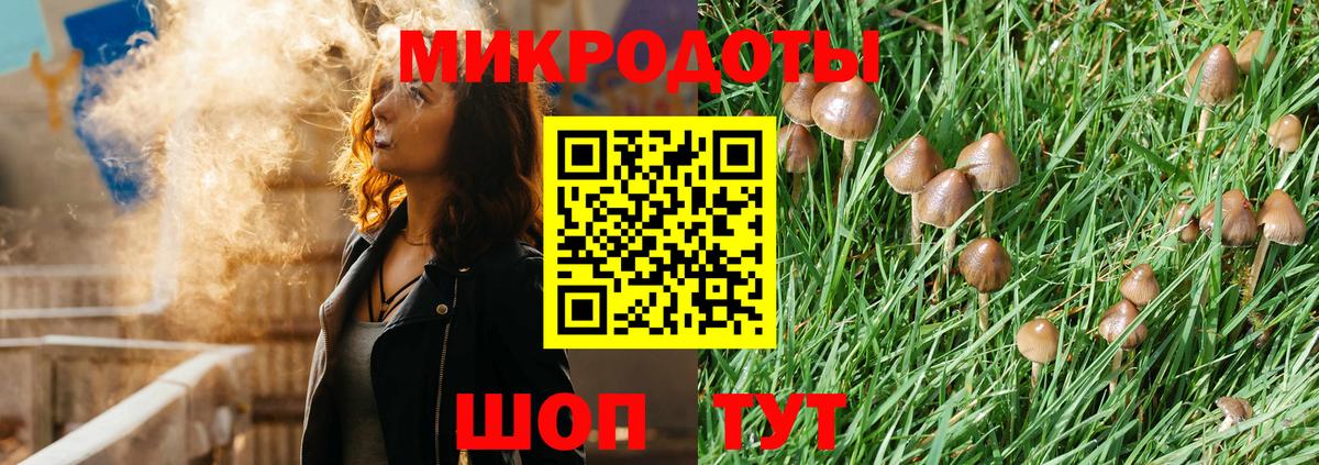Псилоцибиновые грибы мухоморы Кинель